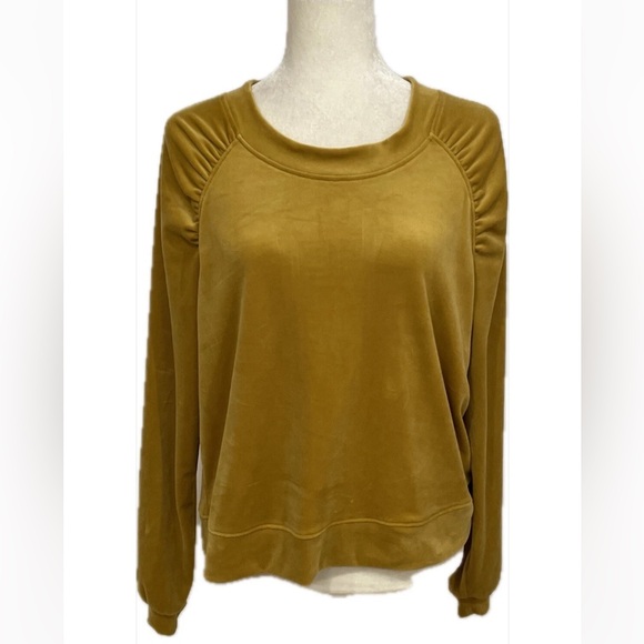 Nwt Sunday Saturday anthropologie velour top m - Picture 4 of 8
